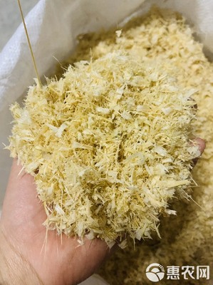竹海生金 竹屑養(yǎng)殖的綠色循環(huán)之道